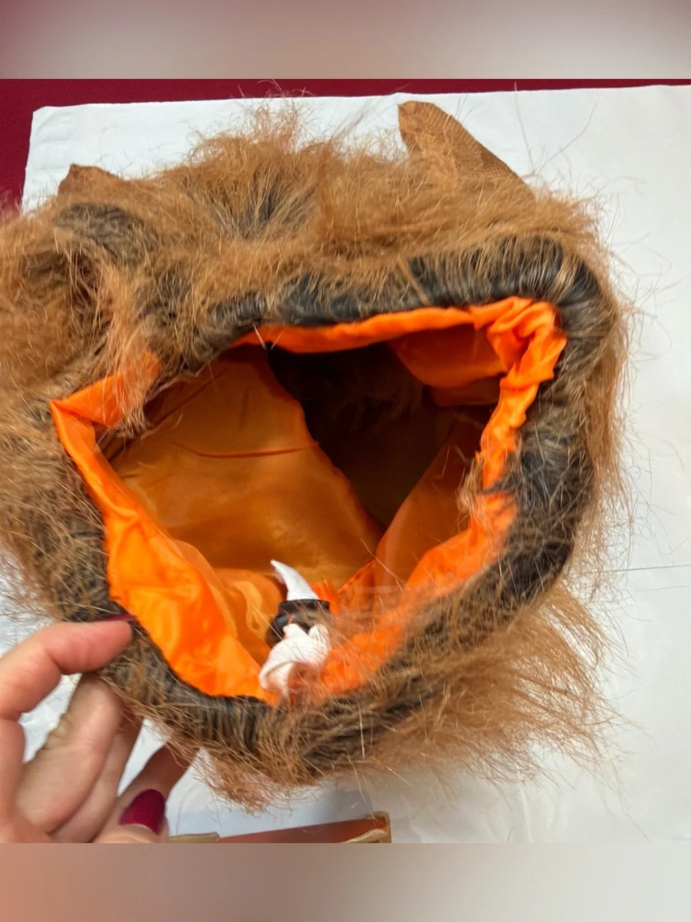 NEW Lion Dog Costume MANE and TAIL SET funny Halloween Cat Safari Jungle, M L